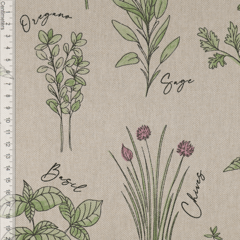 Herbs - Kanvas