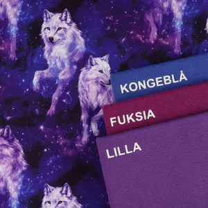 Hovedbilde Cosmic Wolves - French Terry