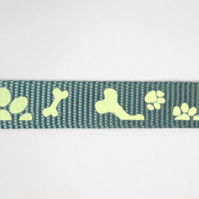 Hovedbilde Hund Teal - 20 mm Selvlysende Bånd