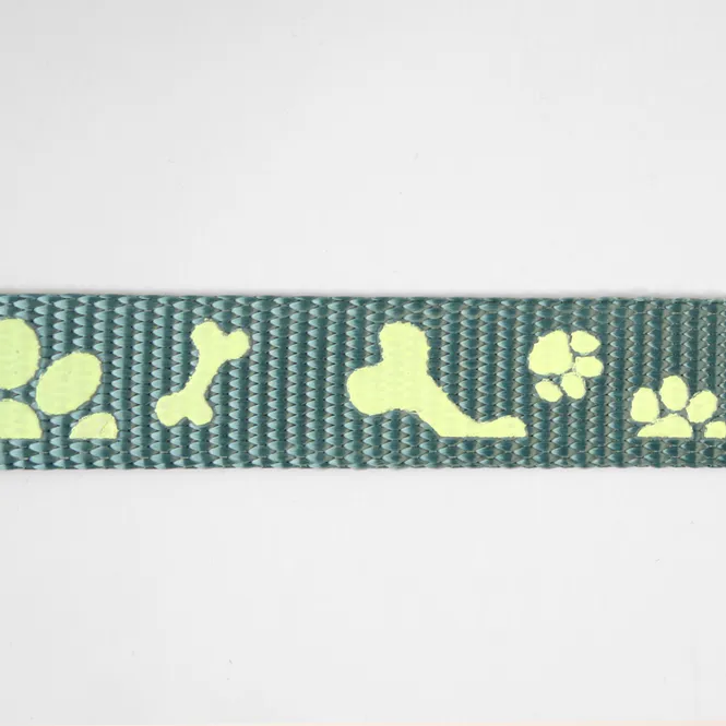 Hovedbilde Hund Teal - 20 mm Selvlysende Bånd