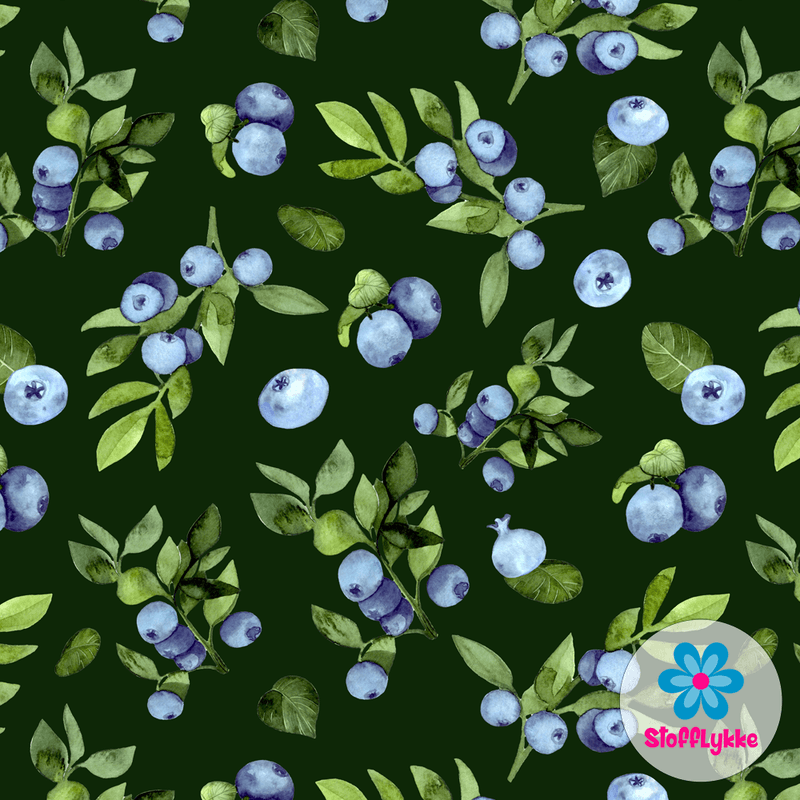 Blueberries - Jersey