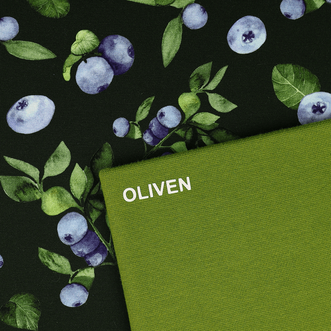 Hovedbilde Blueberries - Jersey