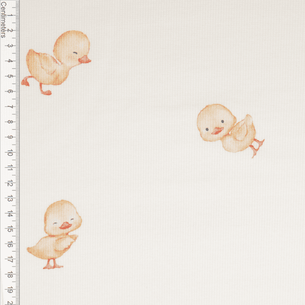 Sweet Ducklings - Ribbjersey