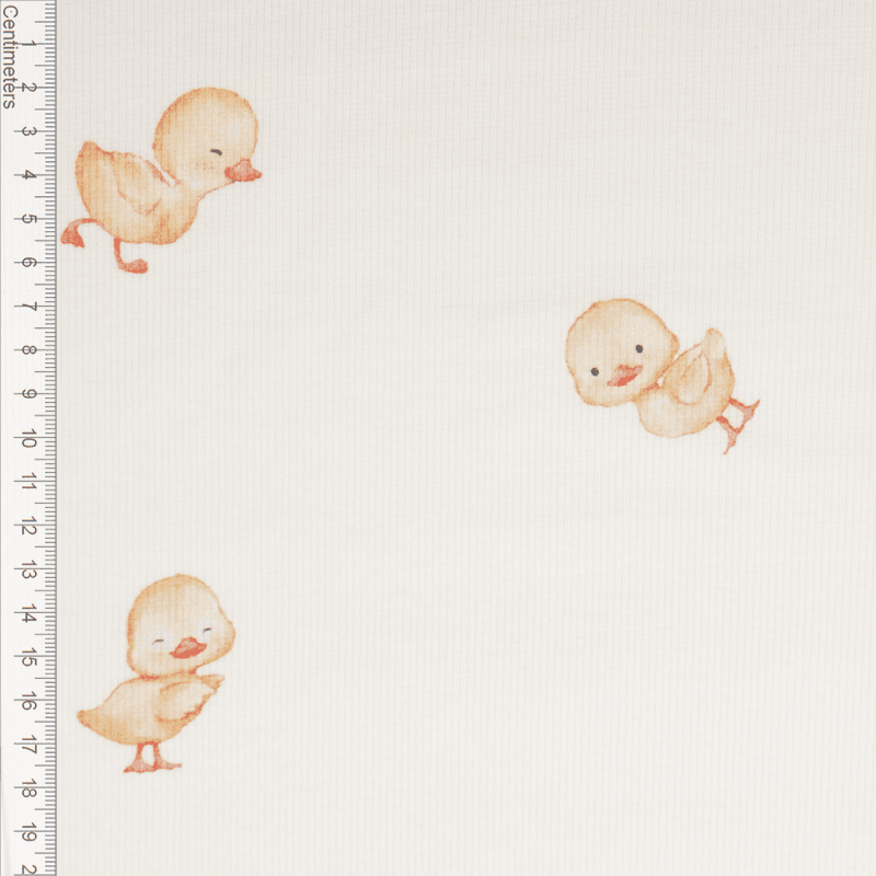 Sweet Ducklings - Ribbjersey