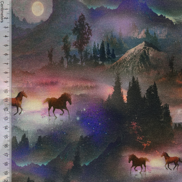 Midnight Horses - French Terry
