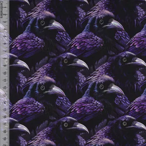 Hovedbilde Twilight Ravens - French Terry