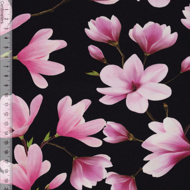 Hovedbilde Magnolia Sort - Økologisk Jersey