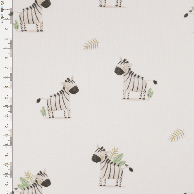 Little Zebra - Jersey